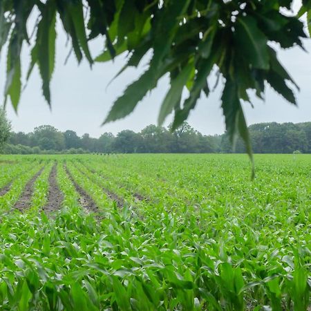 Hermans Huisje: Het Mooiste Uitzicht Van Twente? Haaksbergen Zewnętrze zdjęcie